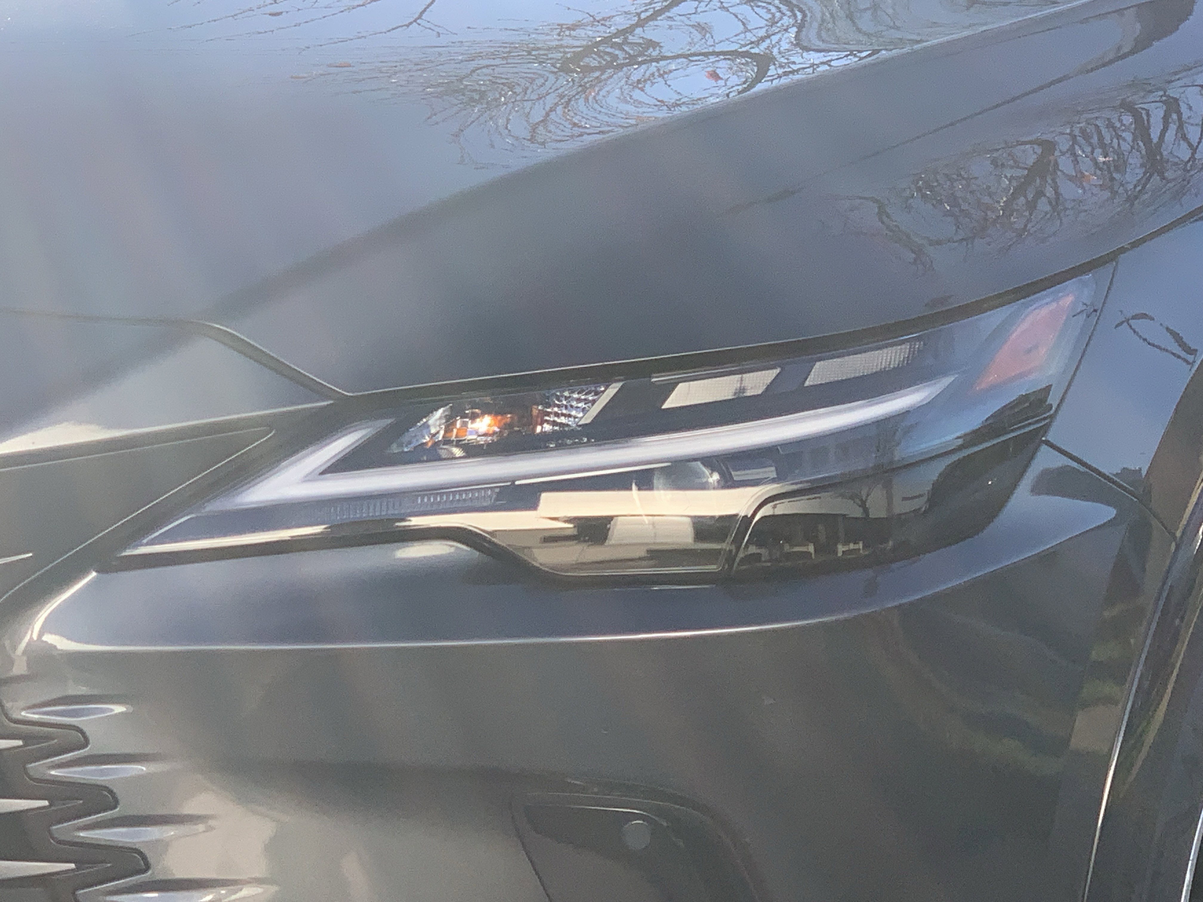 Certified 2024 Lexus RX 350 Premium image 6