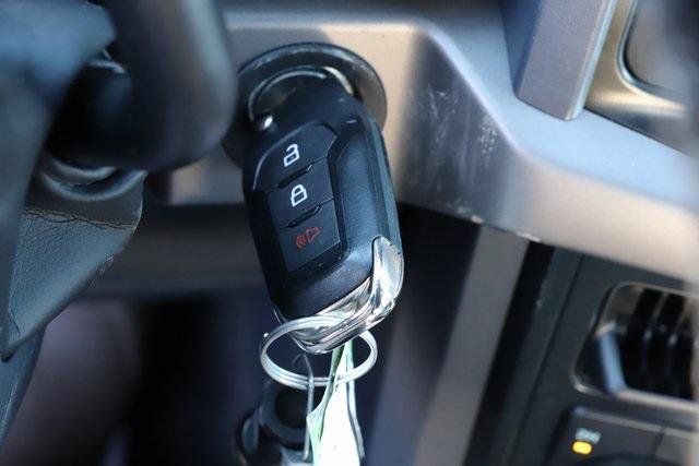 New 2025 Ford F150 XLT w/ Equipment Group 301A Standard image 33