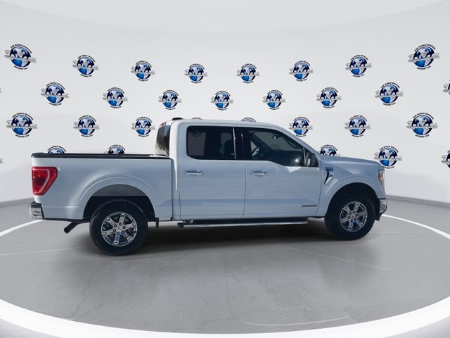 Used 2021 Ford F150 XLT w/ Equipment Group 302A High image 10