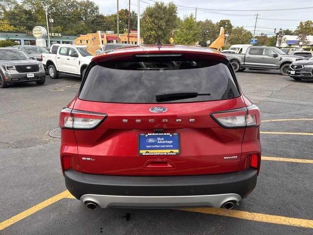 Certified 2022 Ford Escape SEL image 6