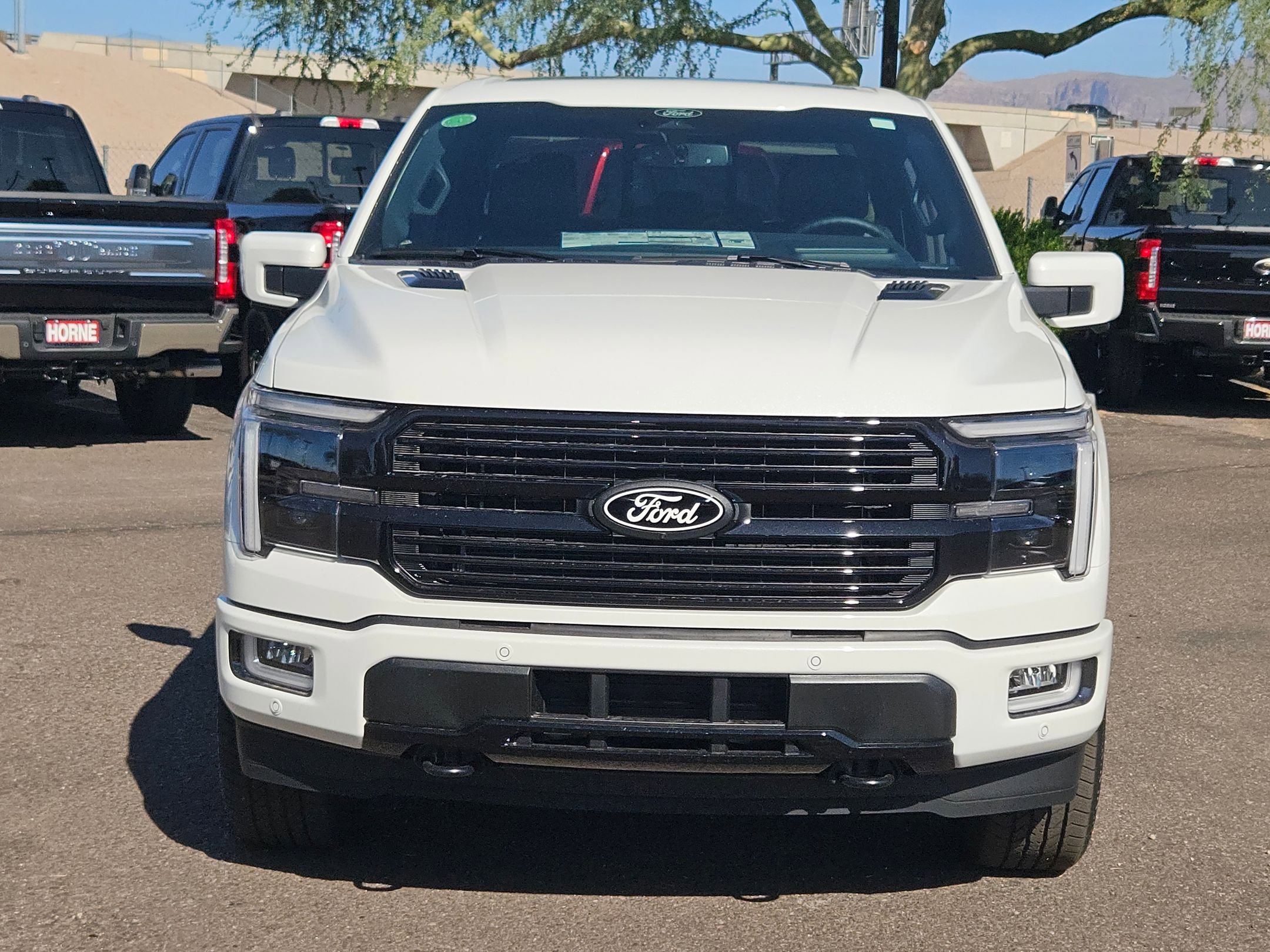 New 2025 Ford F150 Platinum w/ Equipment Group 702A High image 2