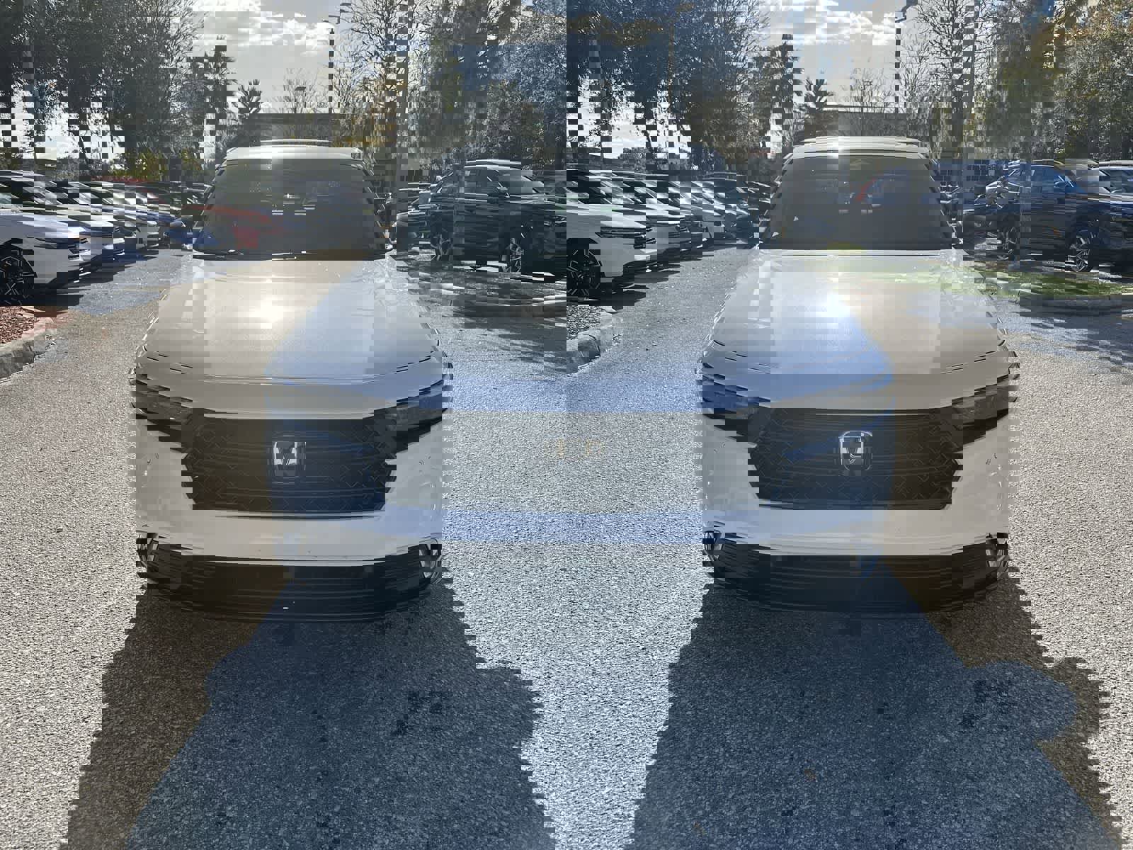 Used 2024 Honda Accord Touring image 9