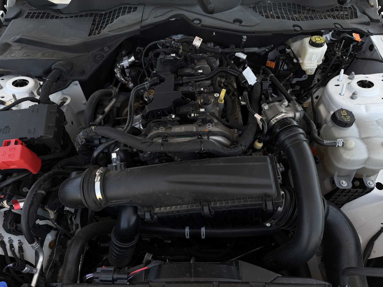 Used 2025 Ford Mustang Premium RWD image 28