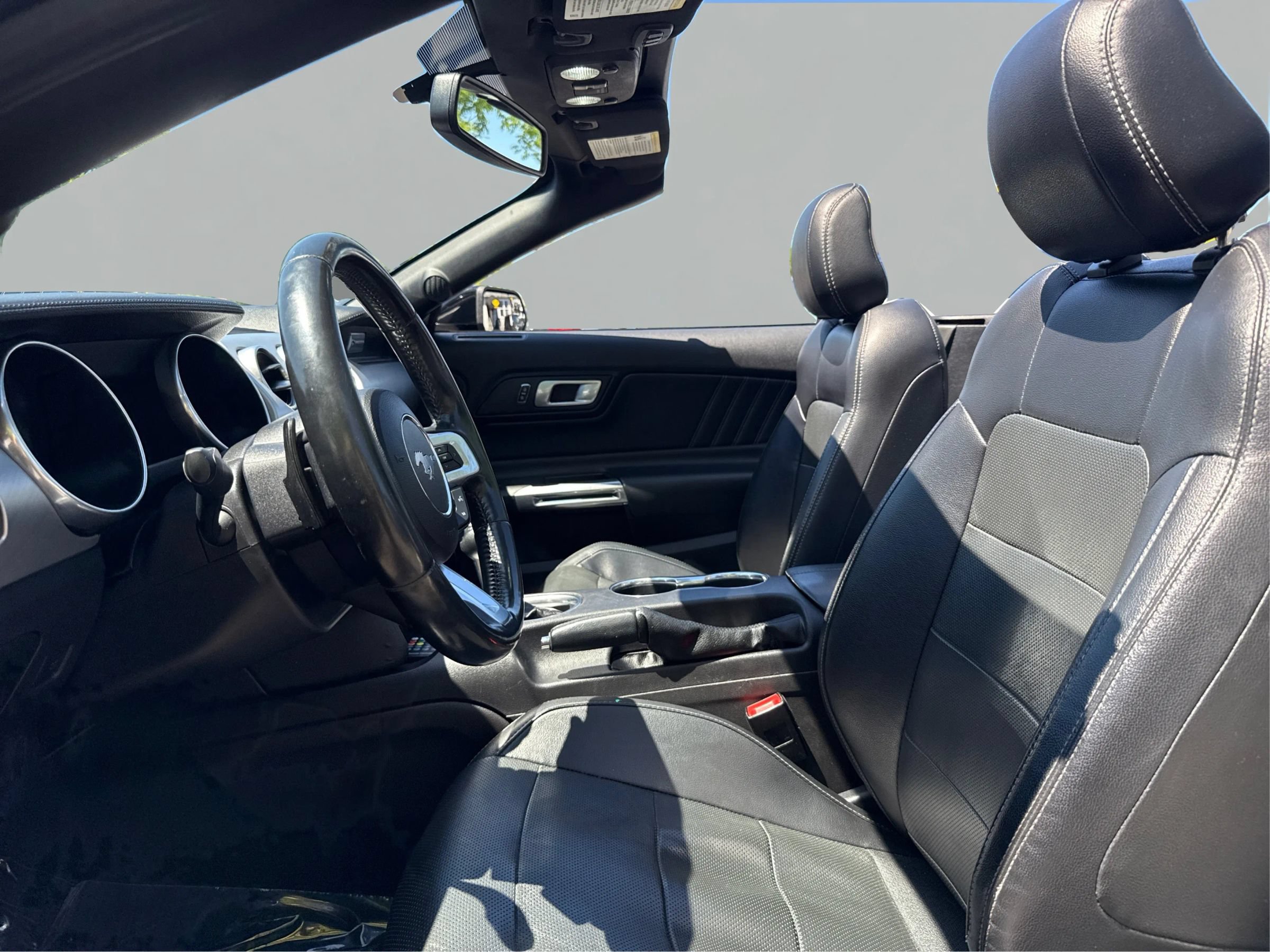 Used 2019 Ford Mustang Premium RWD image 9