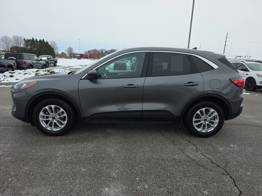 Used 2022 Ford Escape SE w/ Cold Weather Package image 4