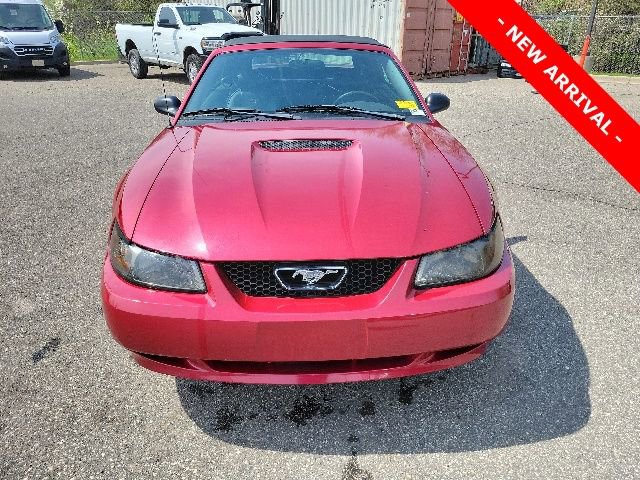 Used 2002 Ford Mustang Convertible RWD image 8