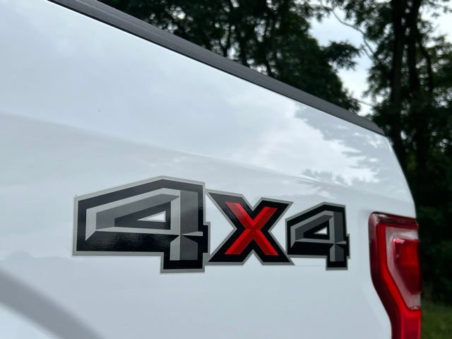 Used 2019 Ford F150 XLT w/ Equipment Group 302A Luxury AWD/4WD image 17