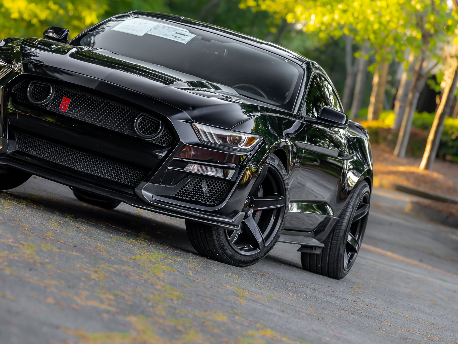 Used 2017 Ford Mustang GT Premium w/ GT Performance Package RWD image 27