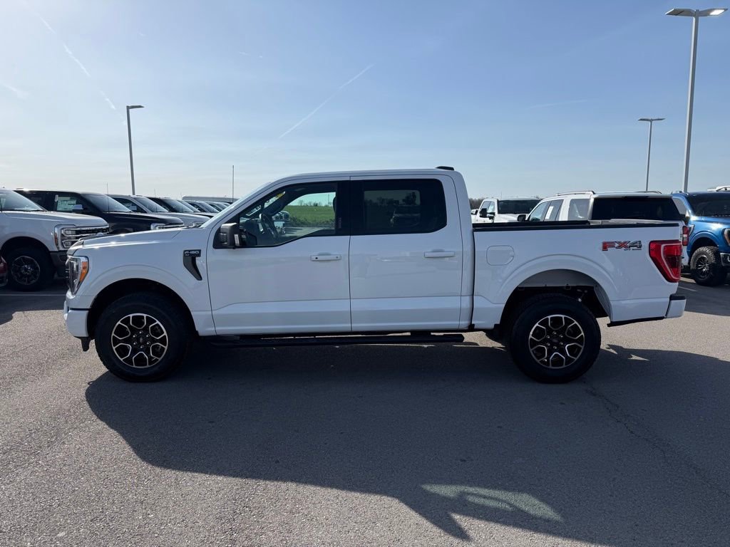 Used 2023 Ford F150 XLT w/ Equipment Group 302A High image 38