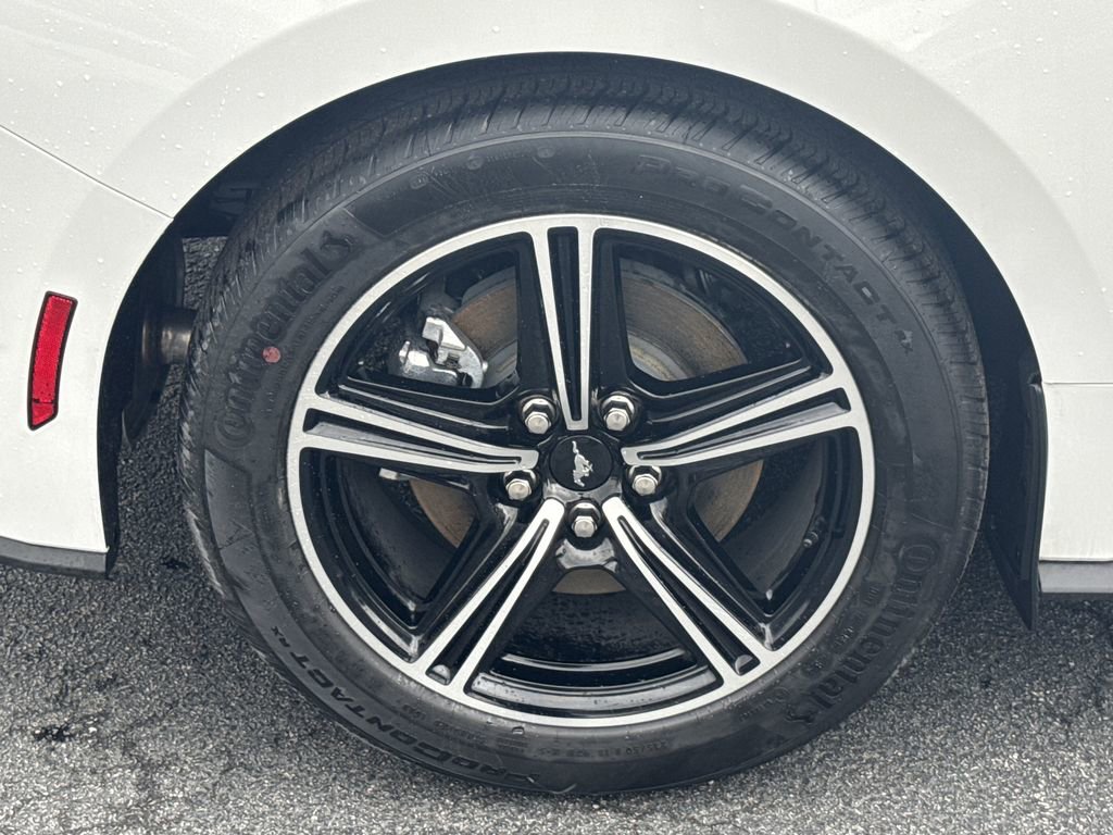 New 2025 Ford Mustang Coupe image 15