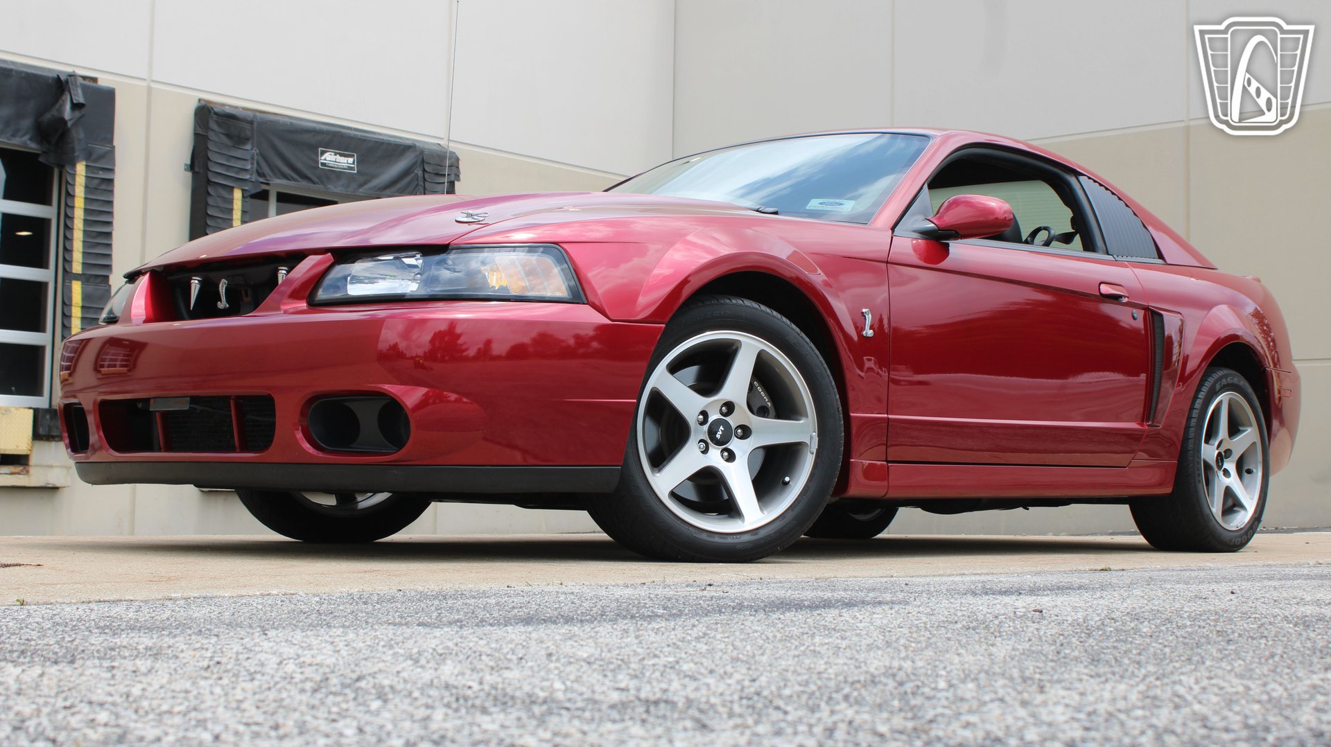 Used 2003 Ford Mustang Cobra RWD image 3