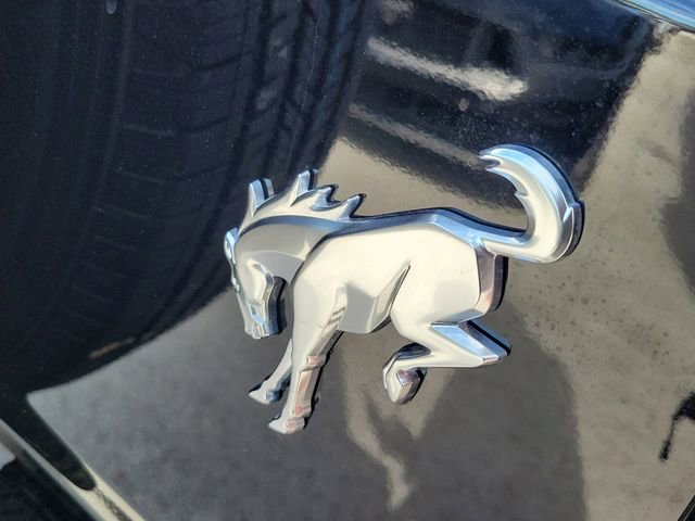 New 2026 Ford Bronco 2-Door image 5