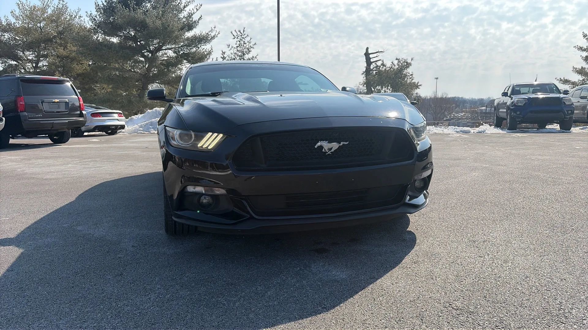Used 2015 Ford Mustang GT Premium image 4