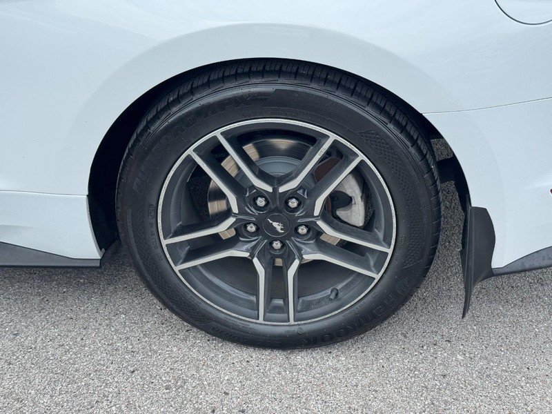 Used 2019 Ford Mustang Premium RWD image 7
