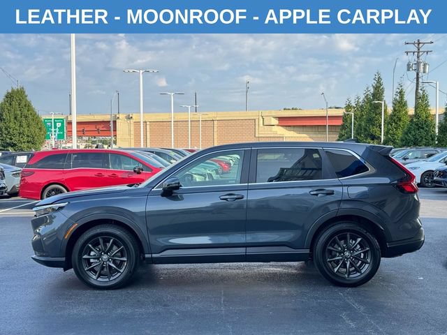 Used 2026 Honda CR-V EX-L image 8