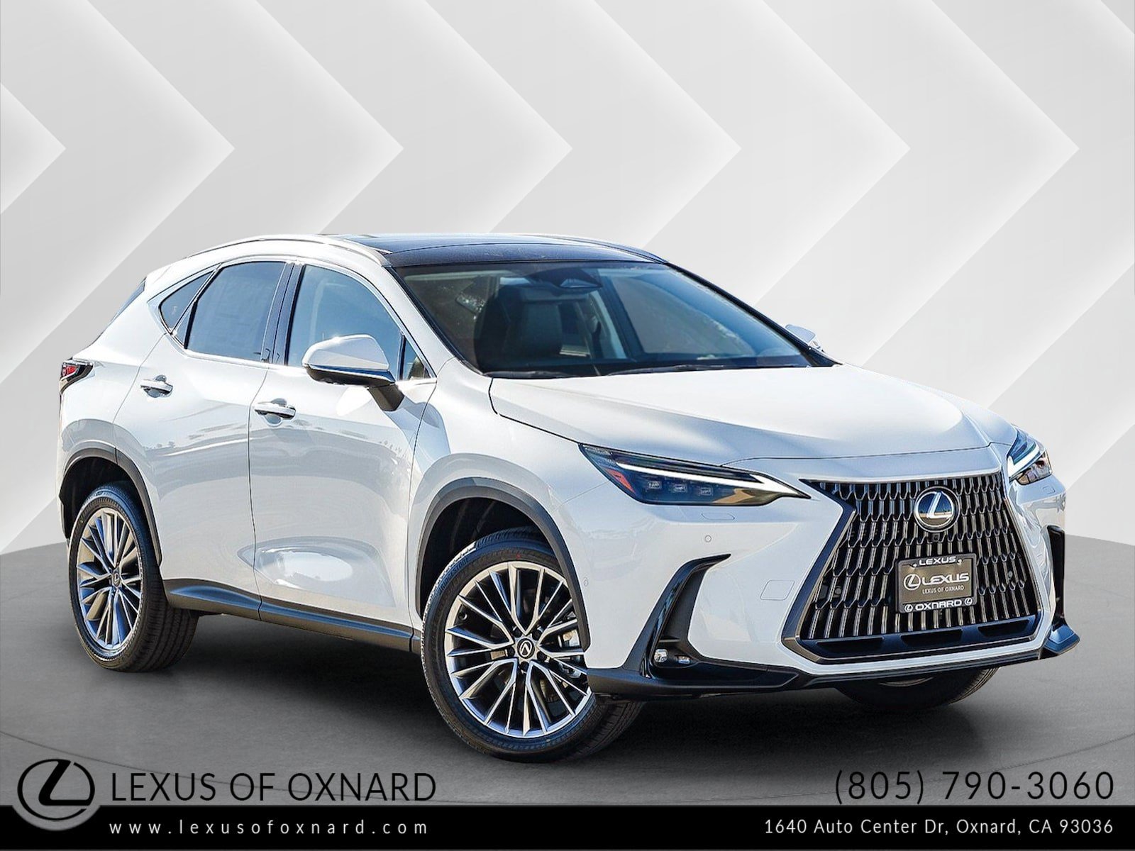 New 2026 Lexus NX 350 AWD w/ Luxury Package video 1