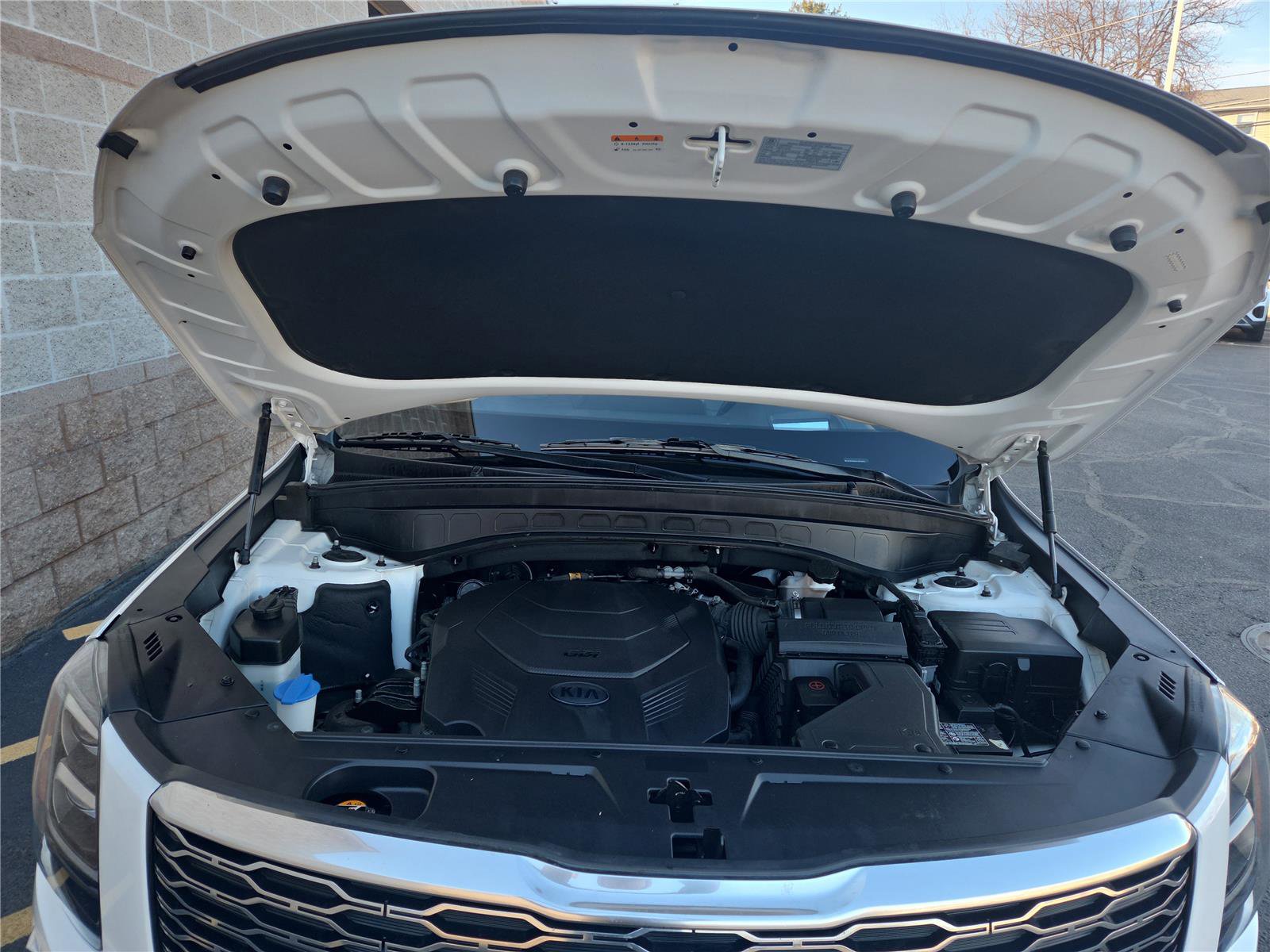 Used 2020 Kia Telluride SX w/ SX Prestige Package image 10