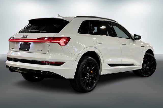 Certified 2023 Audi e-tron Chronos w/ Chronos Package image 13
