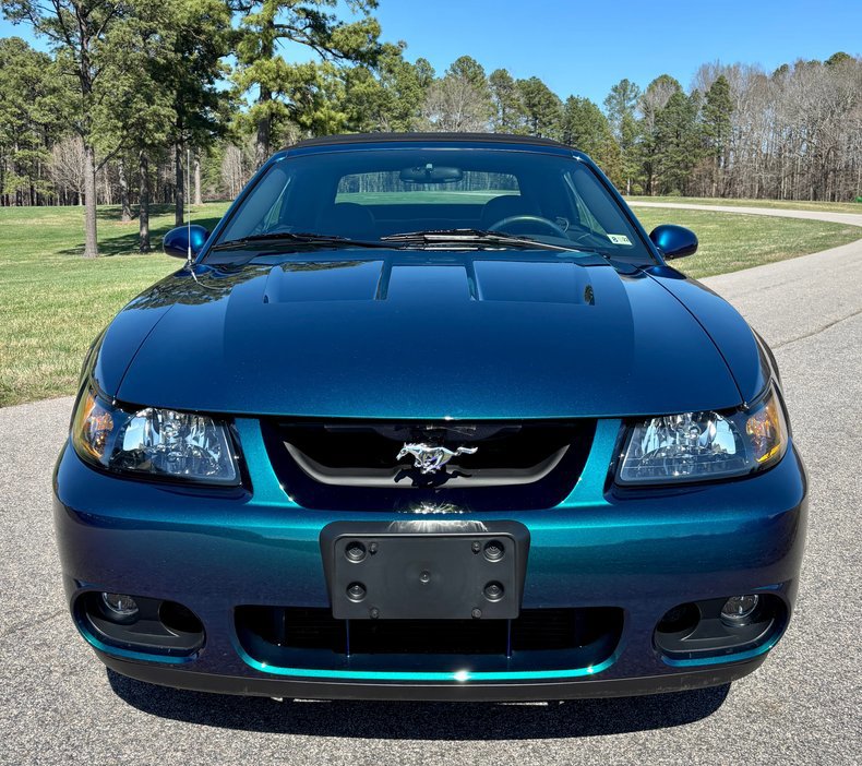 Used 2004 Ford Mustang Cobra RWD image 4