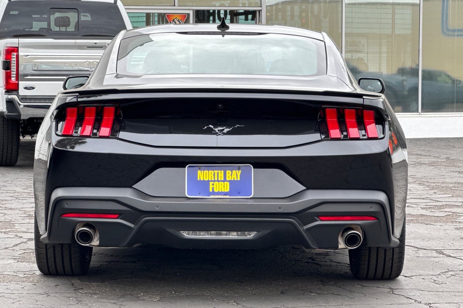 New 2026 Ford Mustang Premium w/ Mustang Nite Pony Package RWD image 5