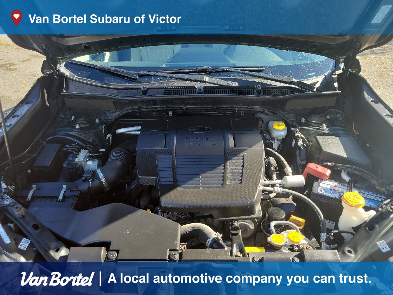 Certified 2023 Subaru Forester Premium AWD/4WD image 11
