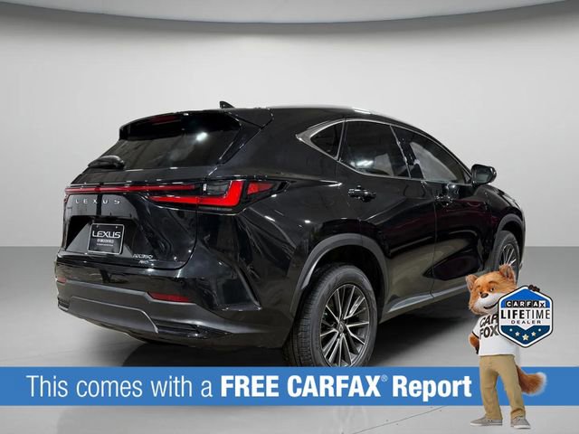 Used 2023 Lexus NX 350 AWD image 3