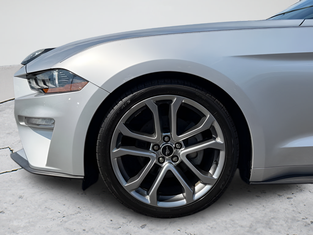 Used 2019 Ford Mustang Coupe RWD image 28