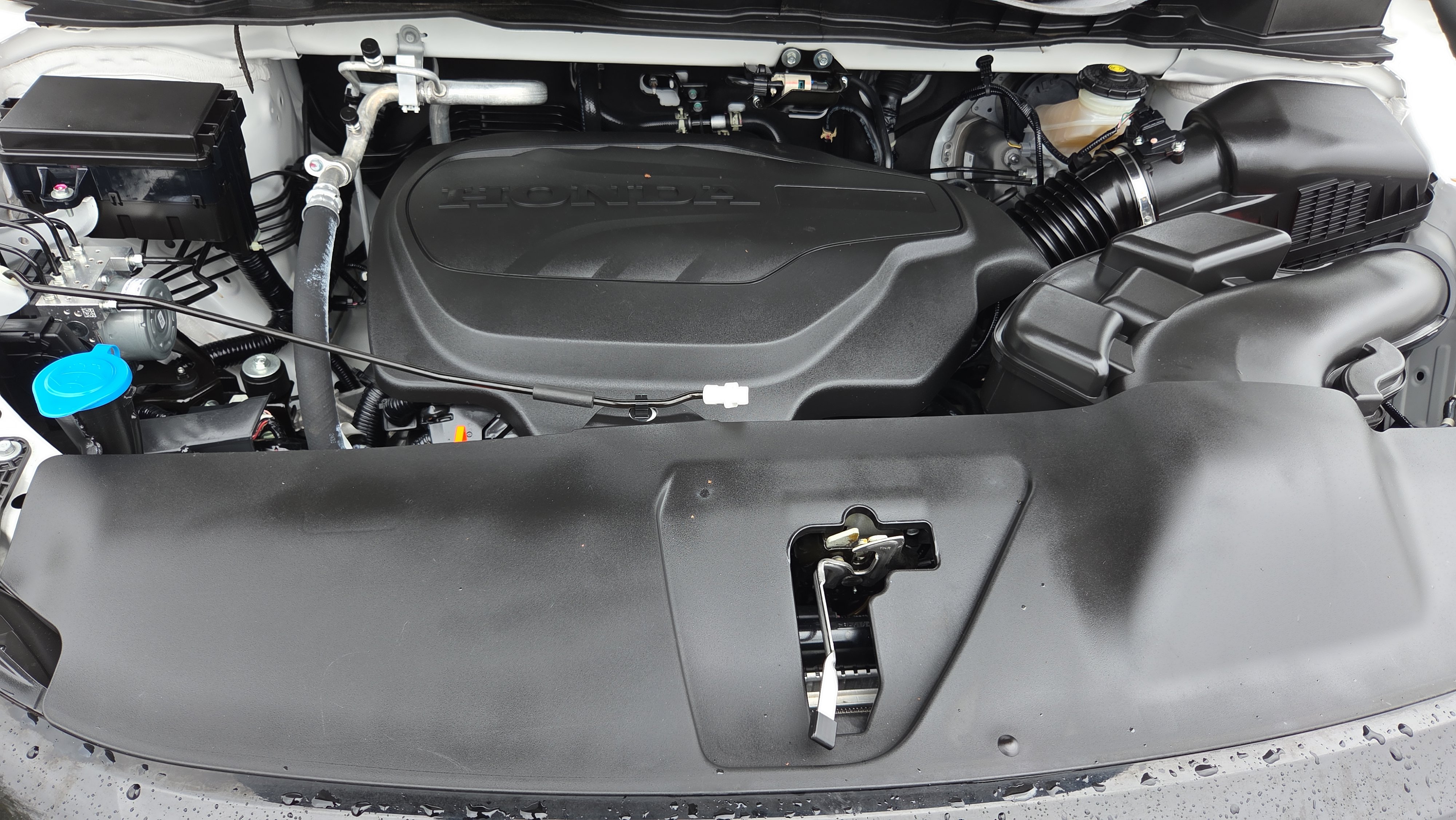 Used 2024 Honda Odyssey Sport image 19