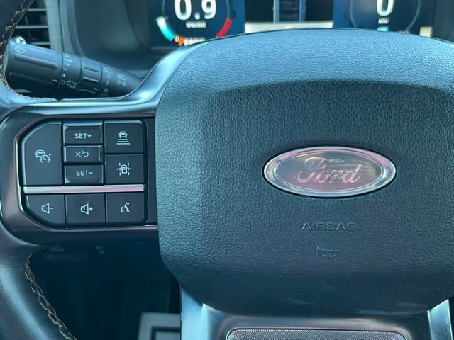 Used 2024 Ford Expedition Platinum AWD/4WD image 33