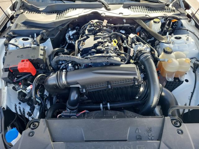 Used 2024 Ford Mustang Premium image 21