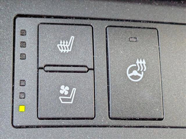 Used 2023 Lexus IS 300 w/ Premium Package image 16