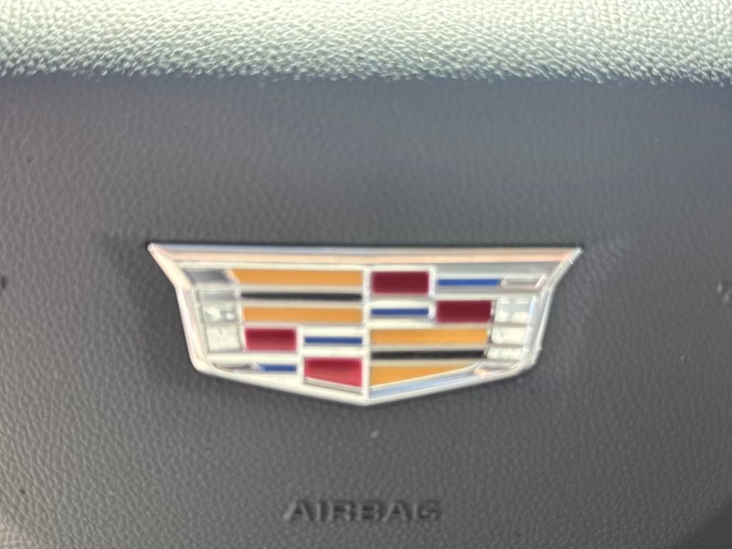 Used 2025 Cadillac Escalade Premium Luxury AWD/4WD image 25