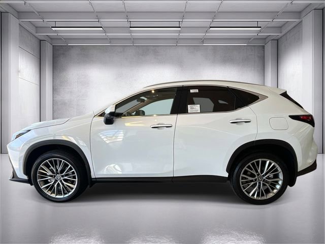 New 2026 Lexus NX 350 AWD w/ Accessory Package (2T) image 5