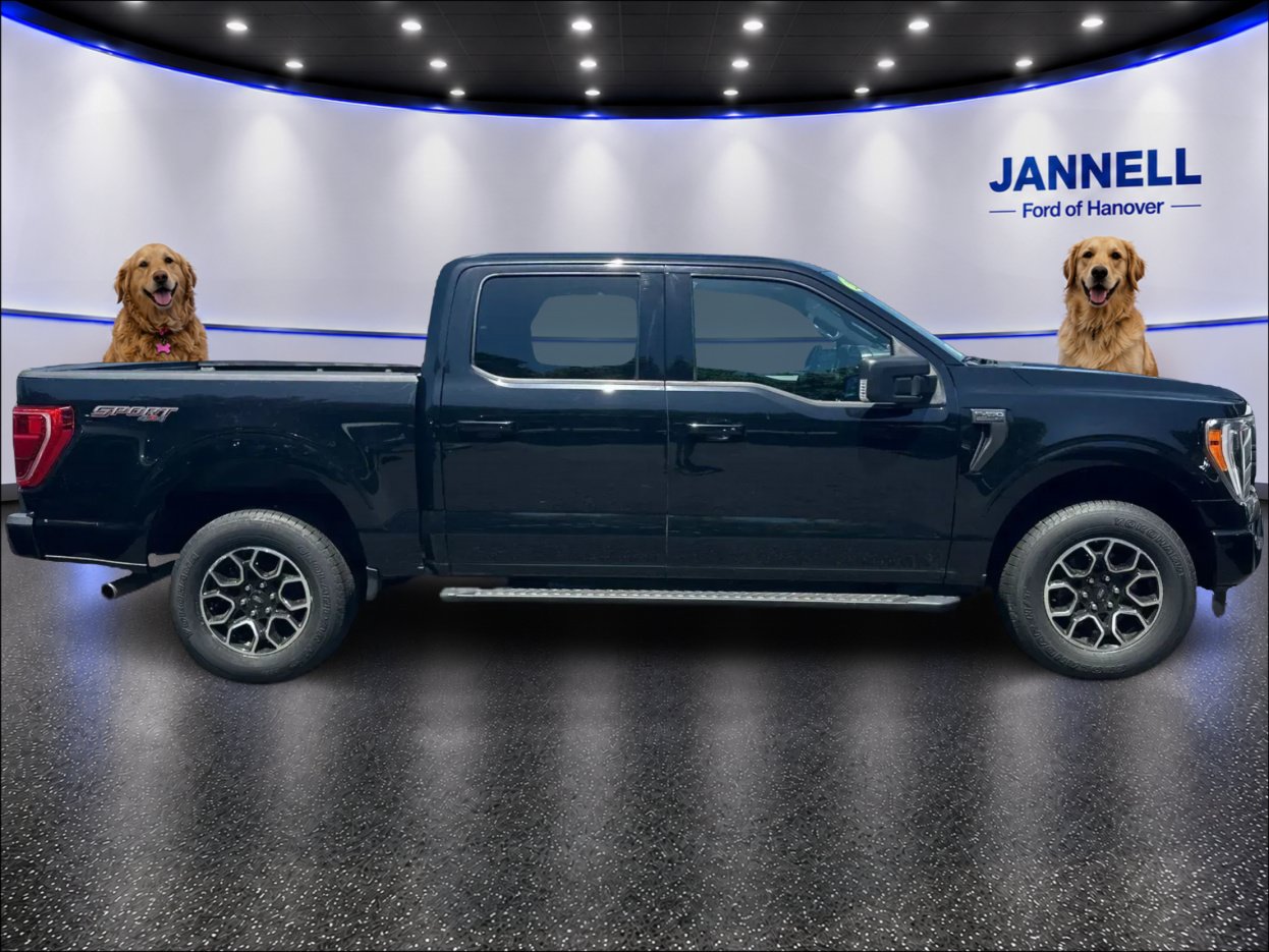 Used 2023 Ford F150 XLT w/ Equipment Group 302A High AWD/4WD image 4