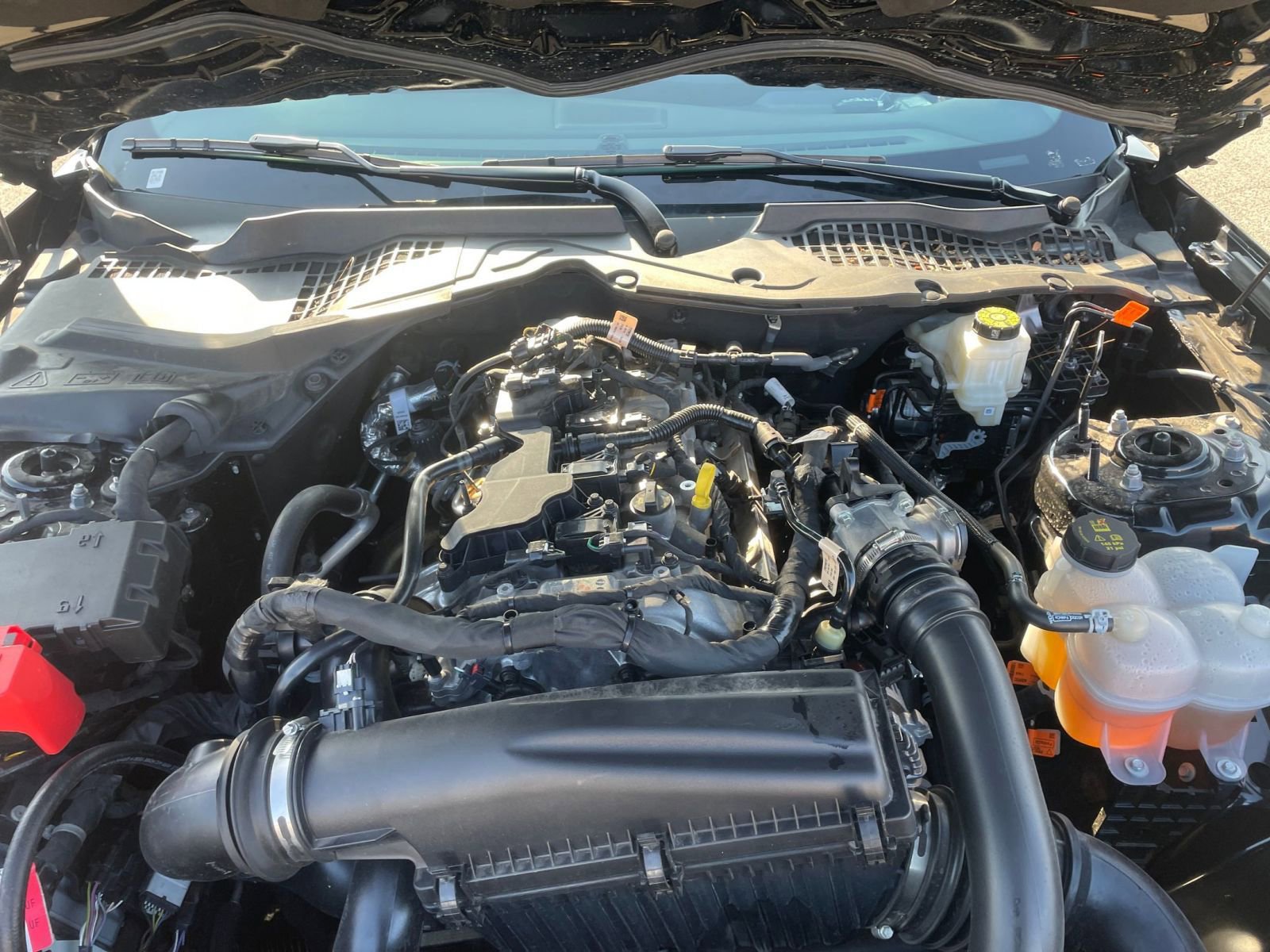 Used 2024 Ford Mustang Premium image 31