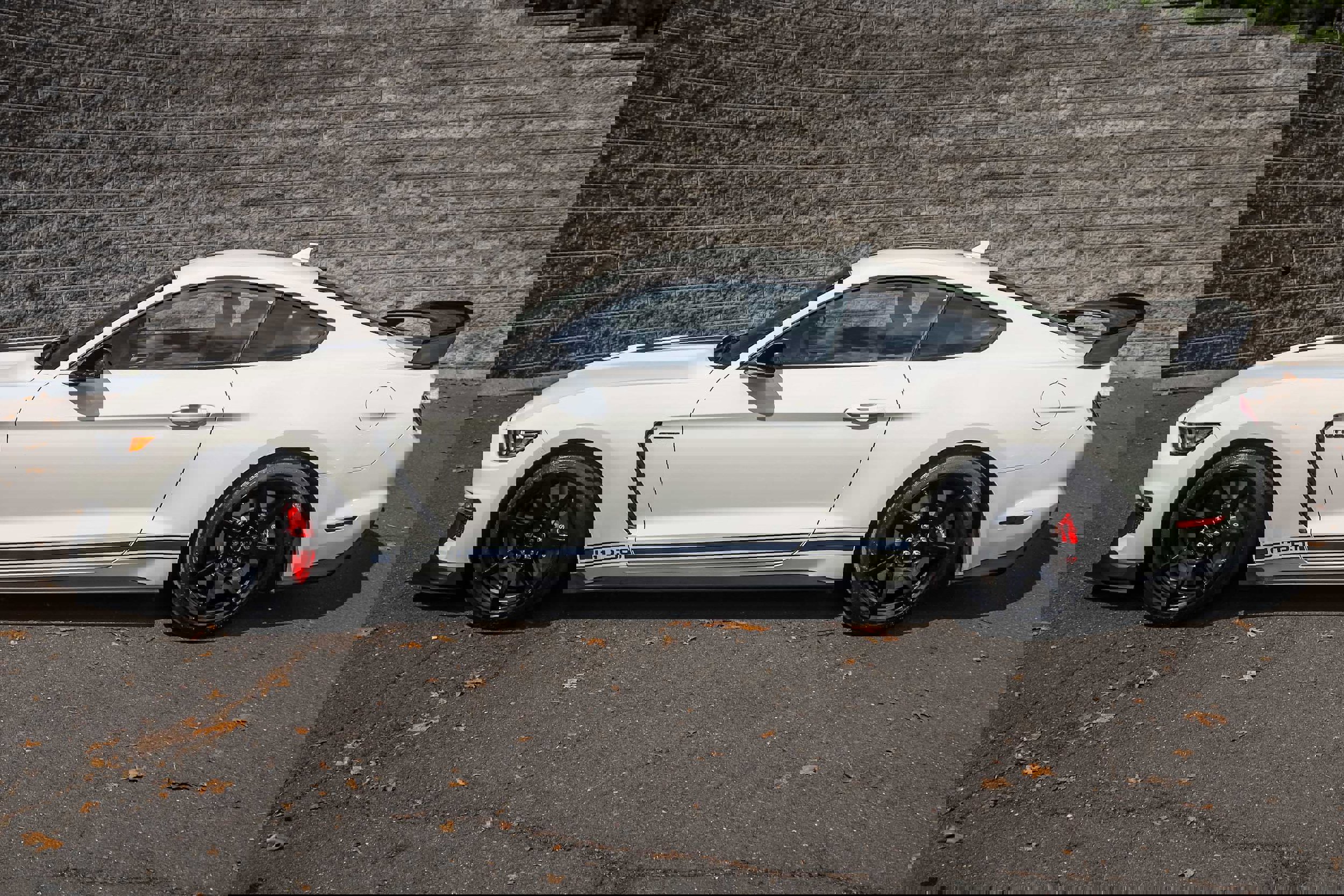 Used 2020 Ford Mustang Shelby GT350R w/ GT350R Equipment Group 920A image 10