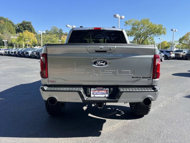 Used 2025 Ford F150 XLT w/ Equipment Group 303A High AWD/4WD image 12