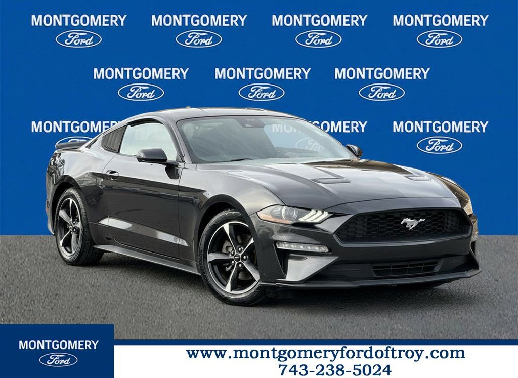 Used 2022 Ford Mustang Coupe w/ Equipment Group 101A