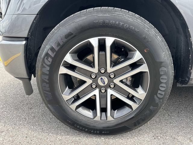 Used 2023 Ford F150 XL w/ STX Appearance Package RWD image 9