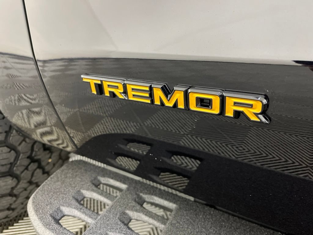 Used 2025 Ford Expedition Tremor AWD/4WD image 3