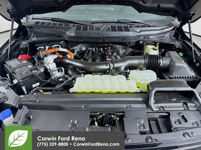 New 2025 Ford F150 XLT w/ Equipment Group 302A MID image 31