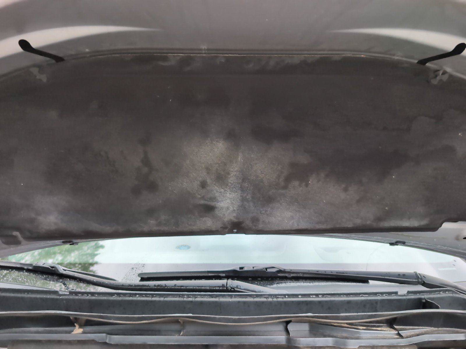 Used 2021 Toyota Sienna Platinum FWD image 14