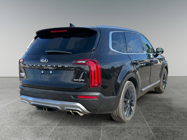 Used 2021 Kia Telluride SX w/ SX Prestige Package image 5