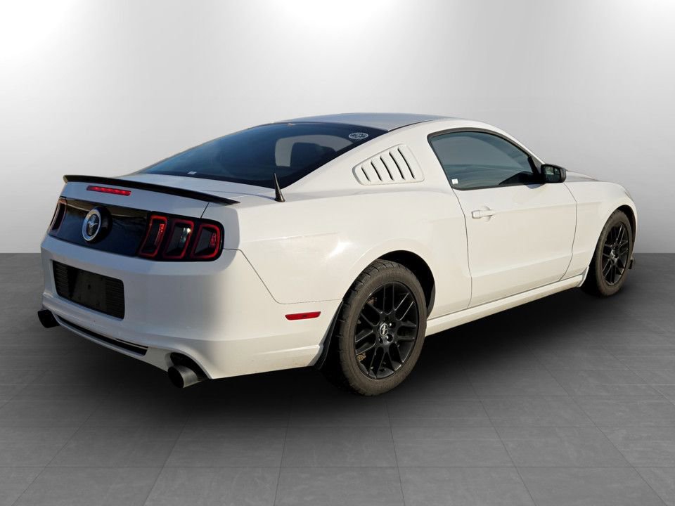 Used 2014 Ford Mustang Coupe w/ Equipment Group 102A image 6