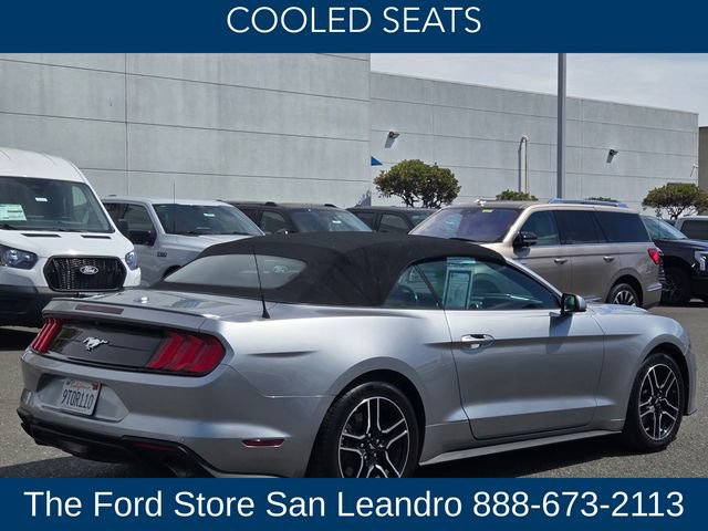 Used 2022 Ford Mustang Premium RWD image 8