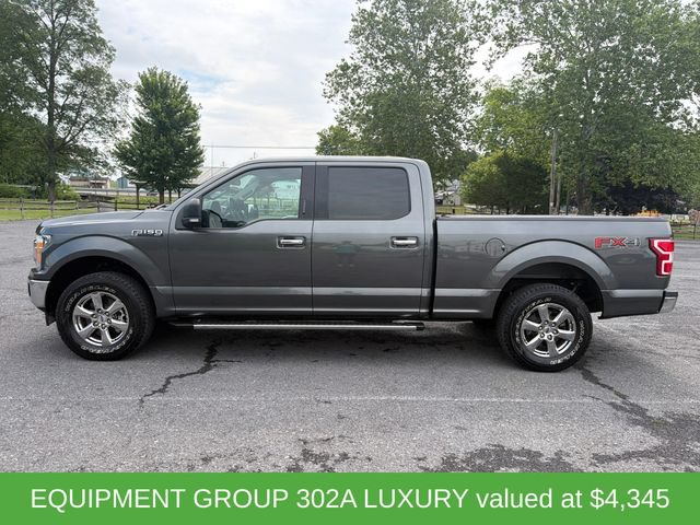 Used 2019 Ford F150 XLT w/ Equipment Group 302A Luxury AWD/4WD image 2