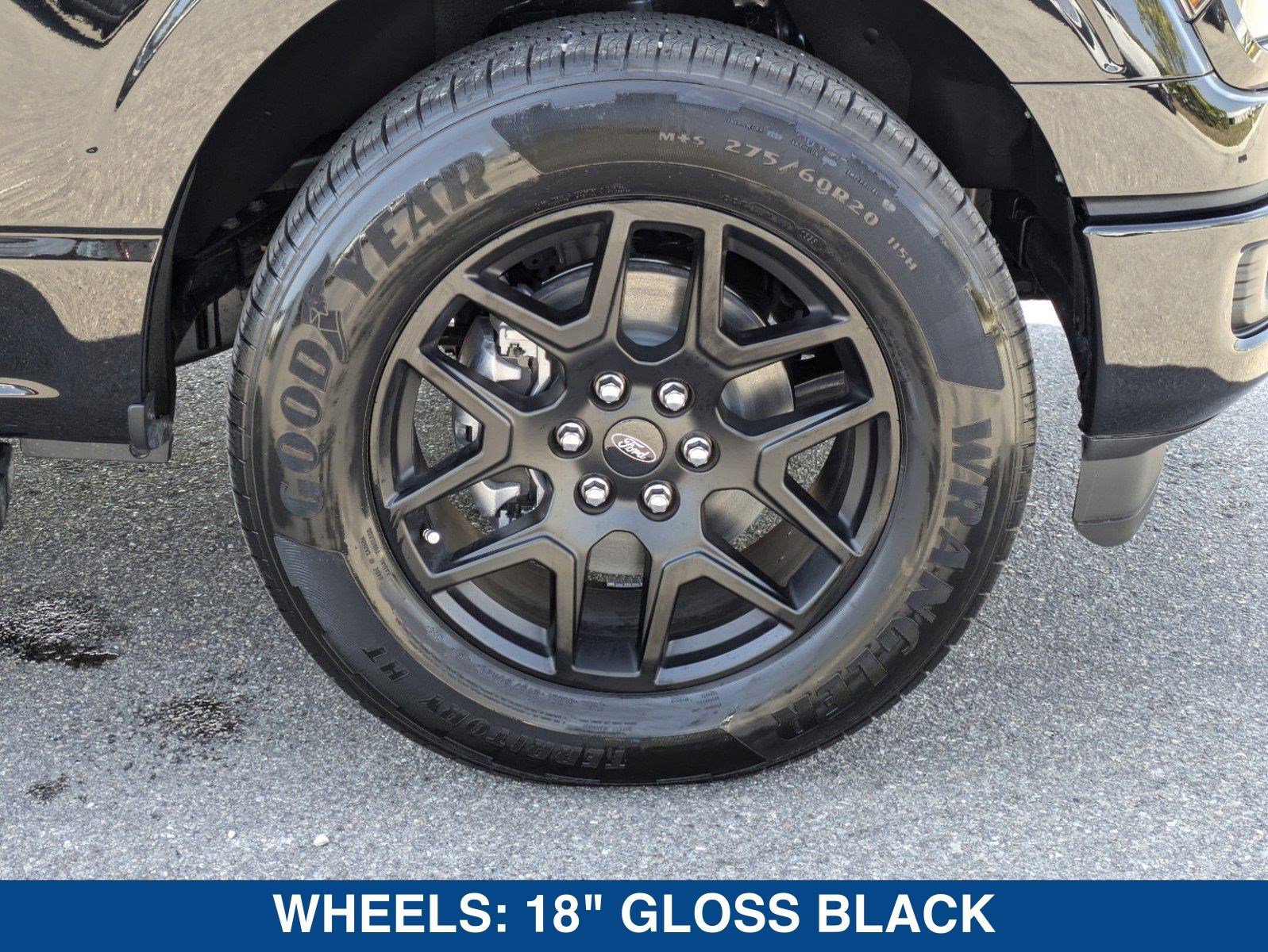 New 2025 Ford F150 STX w/ STX Black Appearance Package image 12