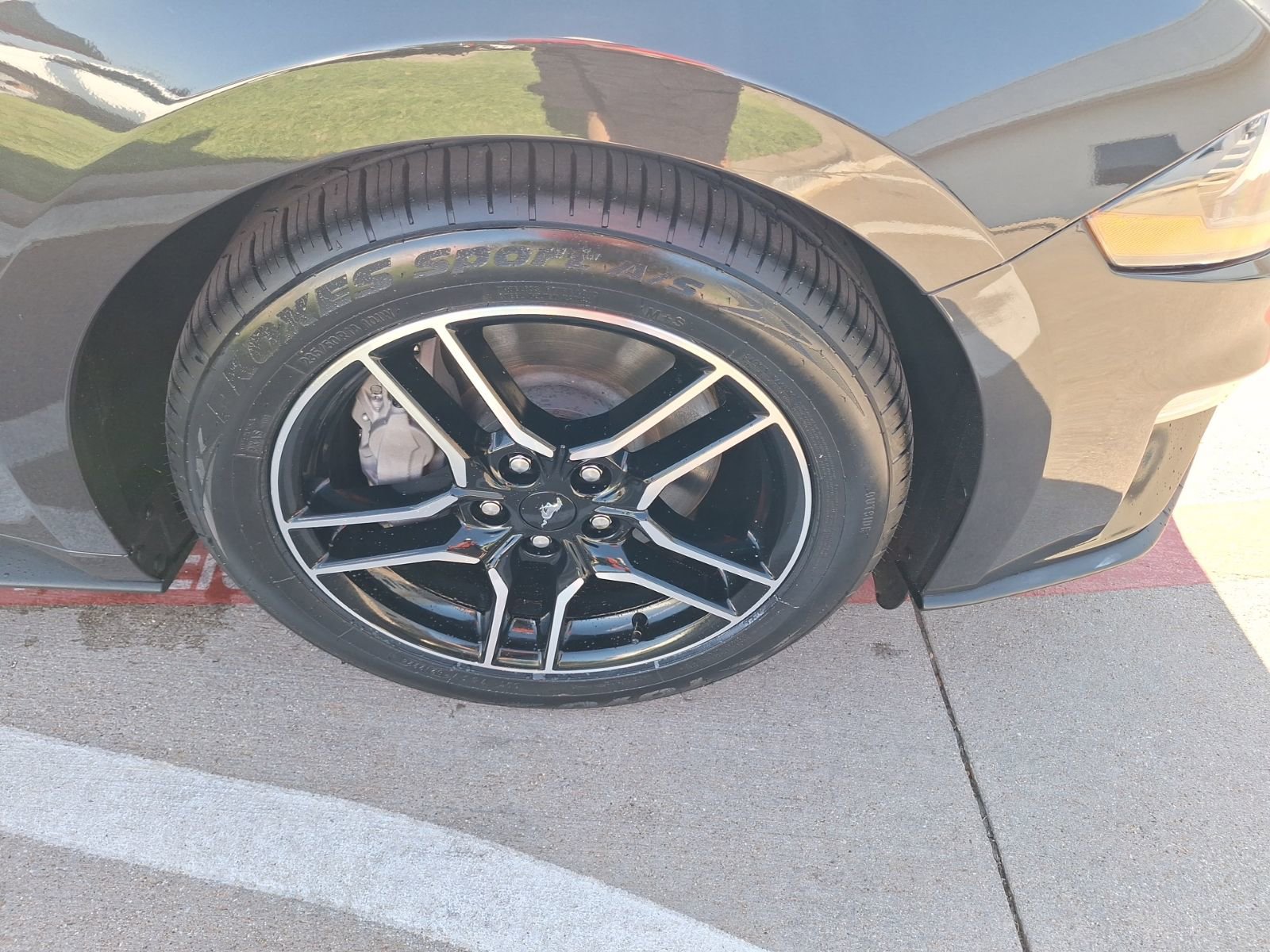 Used 2023 Ford Mustang GT Premium w/ Equipment Group 401A image 11