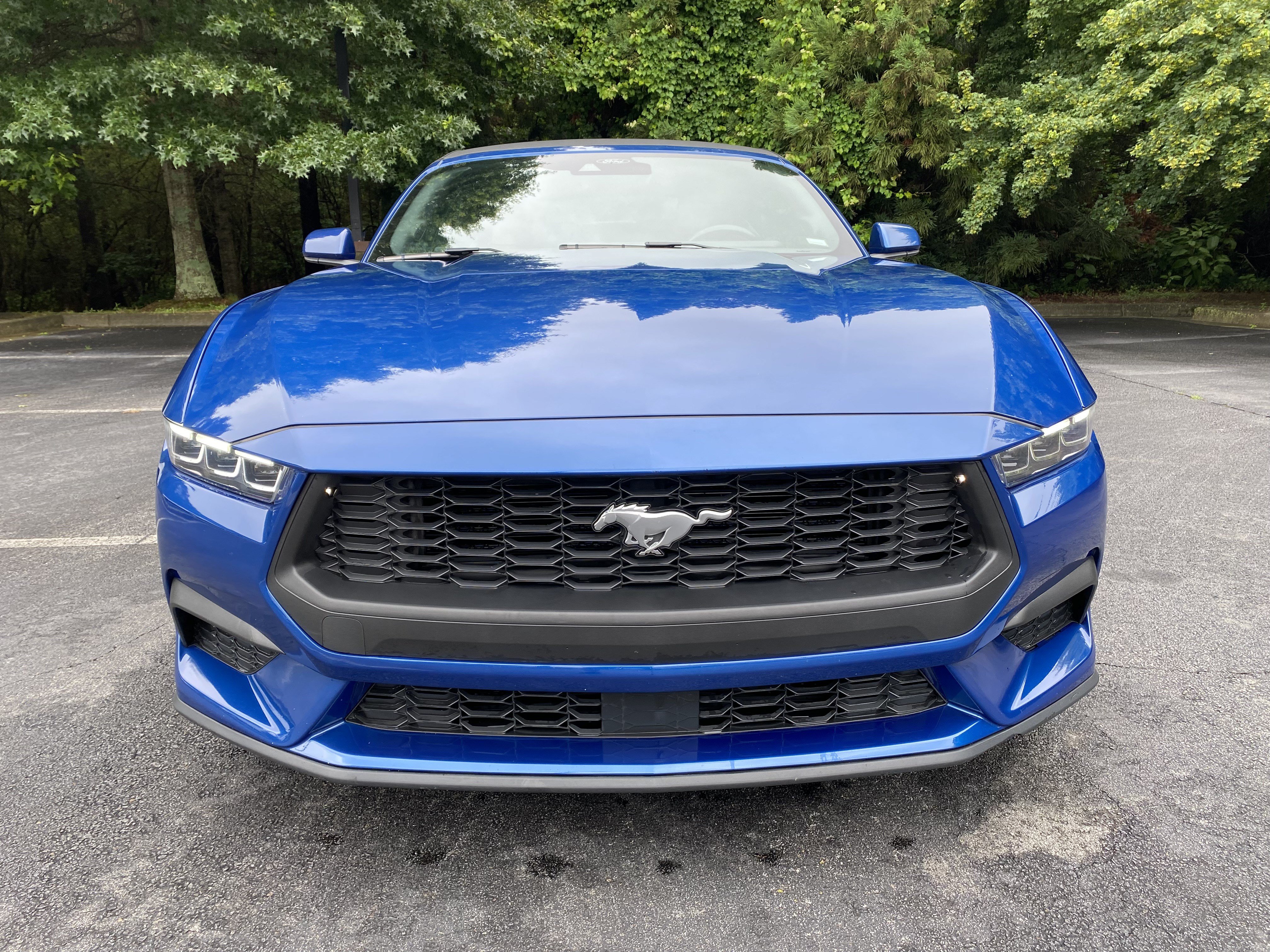 Used 2024 Ford Mustang Premium RWD image 3