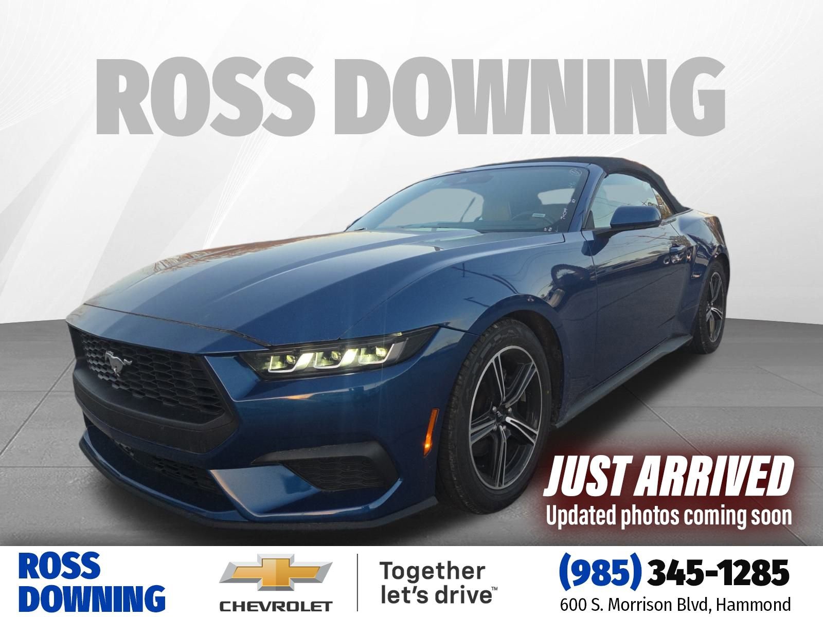 Used 2024 Ford Mustang Premium